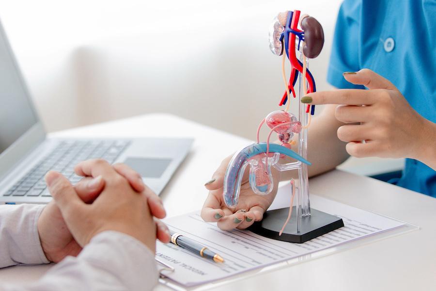 Penuma Implant Before And After Turkey Cost