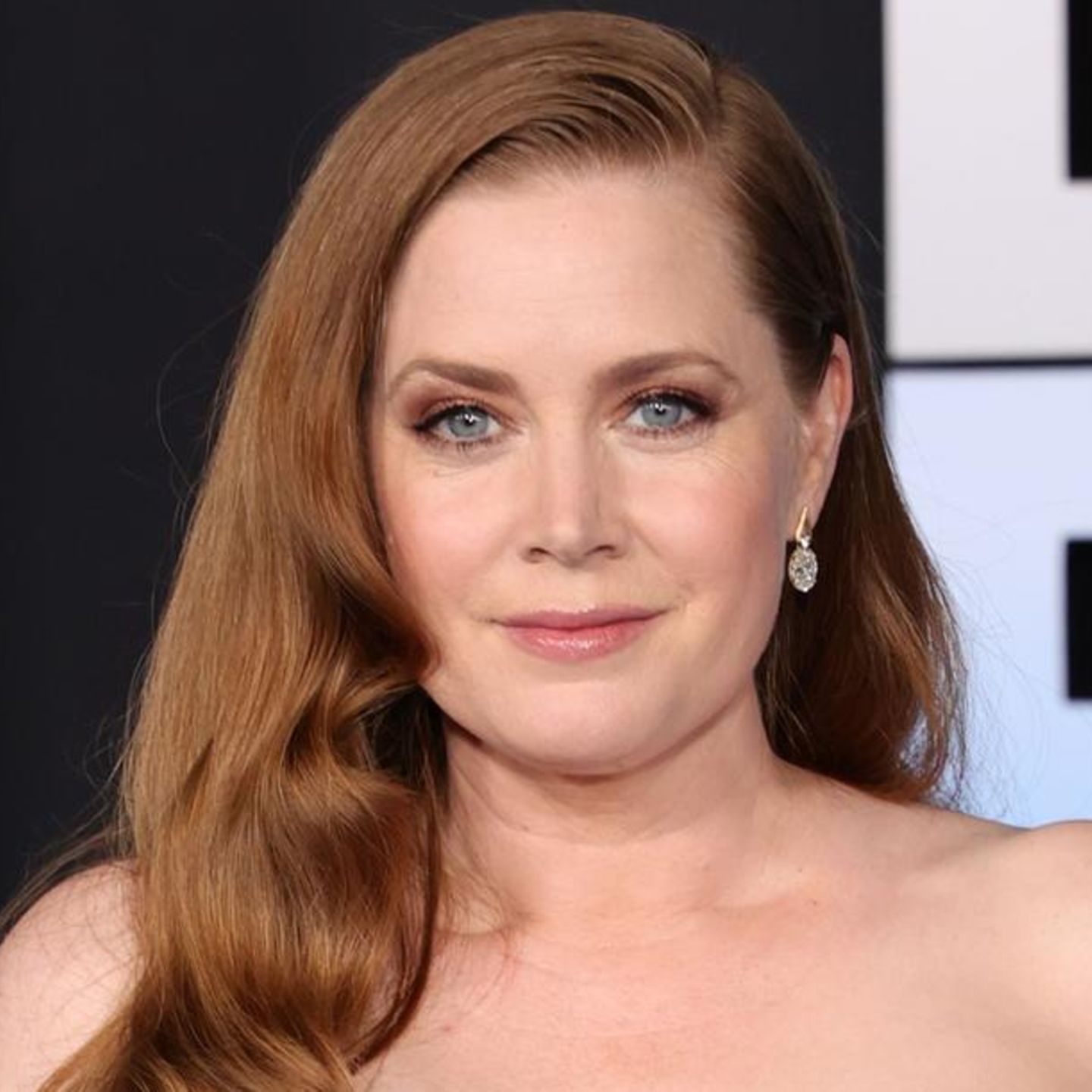 Picture Of Amy Adams
